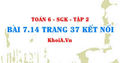 Bài 7.14 trang 37 Toán 6 Tập 2 Kết nối tri thức